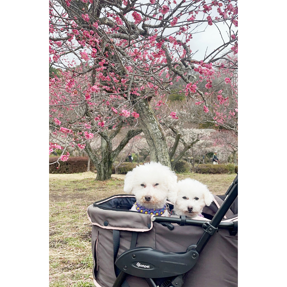 V搶̈AƂ킿񁕂͂Ȃ